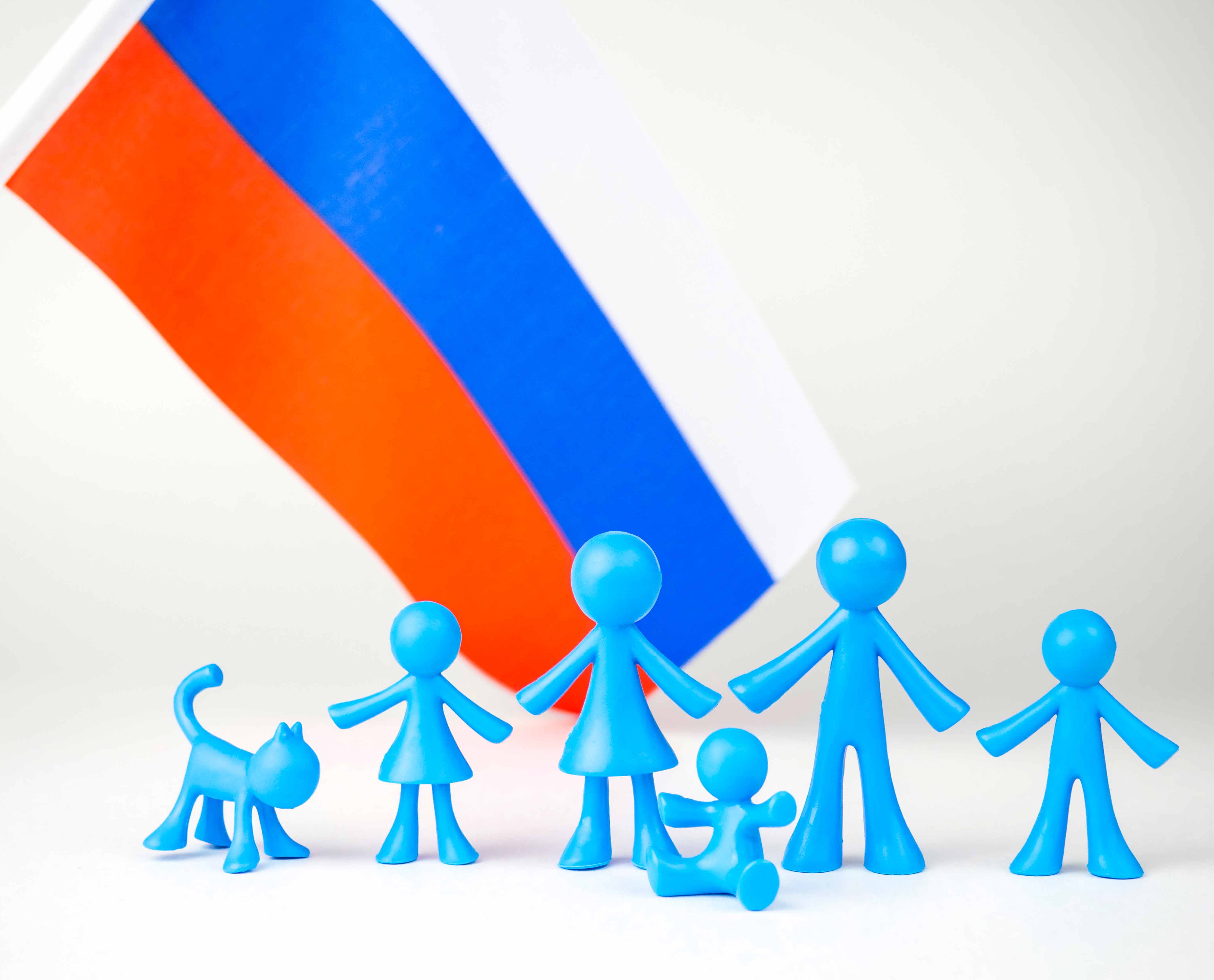 Основные функции и задачи Социального фонда России